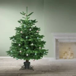 Support Pour Sapin De Noël Vert Foncé -Komar Boutique 873b30b680a54b958e4ba091c3279bdd