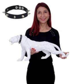 Figure De Déco Léopard Avec Collier -Komar Boutique 884320638a4f429aab48f46be85b7dcf.cropped 34 7 1174 1393.processed