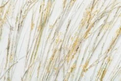 Tableau Peint Gentle Wind Chimes -Komar Boutique 88ca2554b60d4ae0886faffe78b00a11