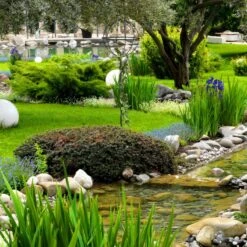 Tuteur De Jardin Set De 2 13 Tuteur De Jardin Set De 2 -Komar Boutique 8d02c1978b01423b8eed3c60241a31a0