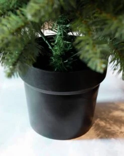 Sapin De Noël Riverton -Komar Boutique 906e961d0c334b2d8ec51373c0f9c1e5