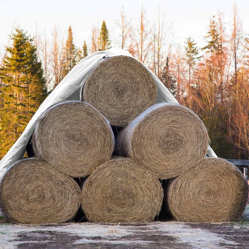 Bâche Avec Oillets 6x10 M 260g/m² Bleu 10 Bâche Avec Oillets 6x10 M 260g/m² Bleu – Image 8