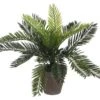 Plante Artificielle Cycas-Palme -Komar Boutique 990319e2659e40b0b009cbdf2046176d.cropped 200 834 2484 2098.processed
