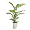 Plante Artificielle Palm -Komar Boutique 9b0405b3d301476391541c289810b23d