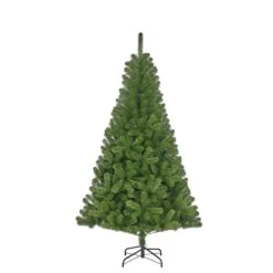Sapin De Noël Charlton