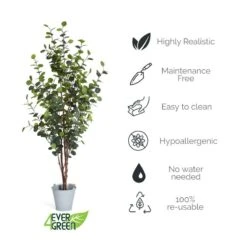 Plante Artificielle Eucalyptus -Komar Boutique a52a3bef949a4d7fbff7f4c5d112288b