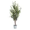 Plante Artificielle Eucalyptus -Komar Boutique a91747982e8a49e49833756315c81568