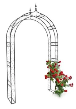 Arche à Rosiers Pointue Tuteur Plante -Komar Boutique ab68cf0fdfdb42a8b37561e837f1bb0a.cropped 510 101 1692 2411.processed