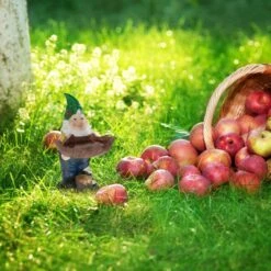 Nain De Jardin Avec Abreuvoir à Oiseaux -Komar Boutique ae5d018521304ead84ae1ec58f2a3bef