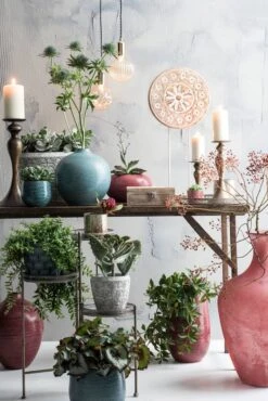 Bol à Plantes Gabriel -Komar Boutique af13764d8ca249f7ace7e3951e56f78c