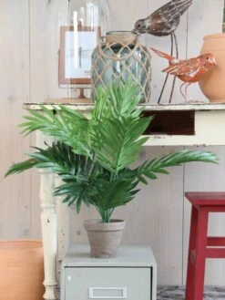 Plante Artificielle Areca-Palme -Komar Boutique b182b511fa6e496996bf8a5198e575c2