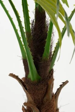 Plante Artificielle Feuille De Palmier -Komar Boutique b6fe58b4b0914c2b87ea45cc945c20d0