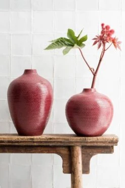 Bol à Plantes Gabriel -Komar Boutique ba0d825ee966456dba479883aa7e05ba