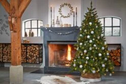 Sapin De Noël Bristlecone 10 Sapin De Noël Bristlecone -Komar Boutique bb789a05cae941b7b295a56d8811e5e4