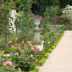 Lot De 4 Statues De Jardin Cigogne -Komar Boutique bfb1df3a8b3c41fabe7bf91b480892e9