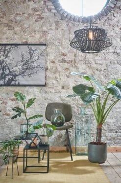 Vase Olly 16 Vase Olly -Komar Boutique c0182dba0e814db3ad0255ba62a1e9fc