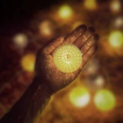 Guirlande Lumineuse LED 10 Boules Coton 24 Guirlande Lumineuse LED 10 Boules Coton -Komar Boutique c701800d49664172bd704e8a35a212fd