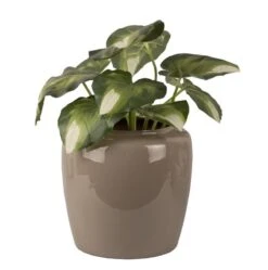 PRESENT TIME Pot De Fleurs Grand -Komar Boutique cca728923ab04102924eeb4f498bb7a7.cropped 268 133 1181 1191.processed