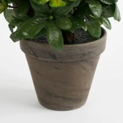 Plante Artificielle Azalée -Komar Boutique ccdb355dac2449cc9666a3a988027883
