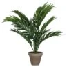 Plante Artificielle Areca-Palme 1 Plante Artificielle Areca-Palme -Komar Boutique d38e3c35f65e4e59b7258a1f39dde26b