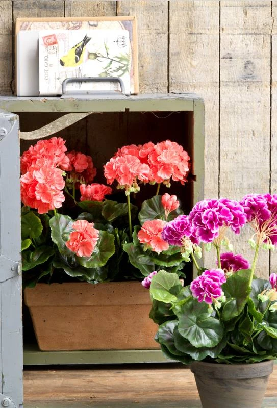 Plante Artificielle Geranien 15 Plante Artificielle Geranien – Image 13