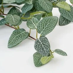 Plante Artificielle Suspendue Fittonia -Komar Boutique e1a5214c0b1446098e25d444776ae908
