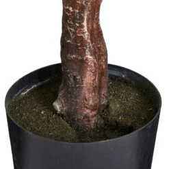 Plante Artificielle Eucalyptus -Komar Boutique e266a8e0b55945128921a7bec06258f5
