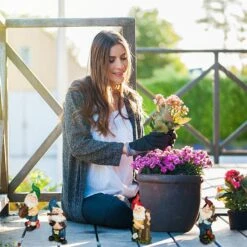 Lot De 4 Nains De Jardin Musiciens -Komar Boutique e2de09bdec4e405699f61e24202c19ec