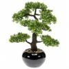 Emerald Mini Bonsaï Ficus Artificiel 1 Emerald Mini Bonsaï Ficus Artificiel -Komar Boutique e5daed371d6f4a5f9de98d353ce085b6