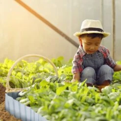 Bordure De Jardin De 12 M De Long -Komar Boutique e8e9834096d444c68e95fe37374f8678