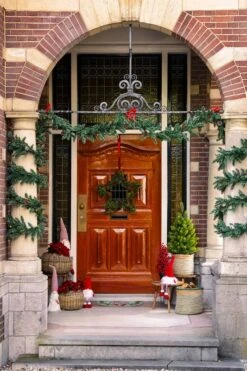 Couronne De Noël Star -Komar Boutique e9871d6d77c94d828e7668b94fe1221e