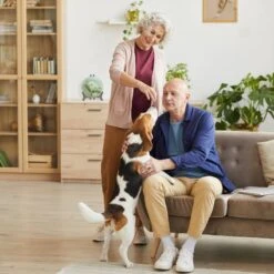 Chevalet De Table En Fonte De Fer 24 Chevalet De Table En Fonte De Fer -Komar Boutique e9d3d3b6233841f0b81dd9edaaa3fa0e