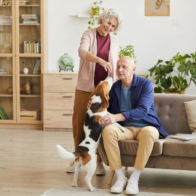 Chevalet De Table En Fonte De Fer 5 Chevalet De Table En Fonte De Fer – Image 3