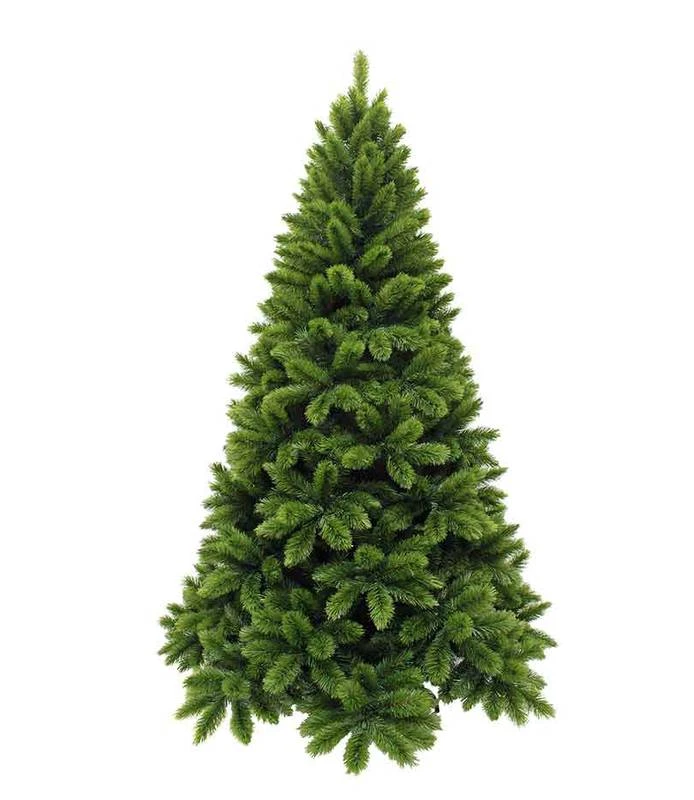 Sapin De Noël Tsuga 3 Sapin De Noël Tsuga