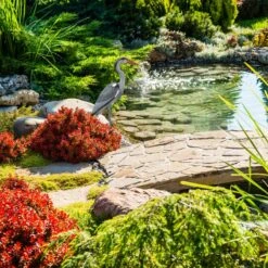 Statue De Jardin Héron En Lot De 10 -Komar Boutique ef259a3f38b14c34ac5ebd120ede3ddd