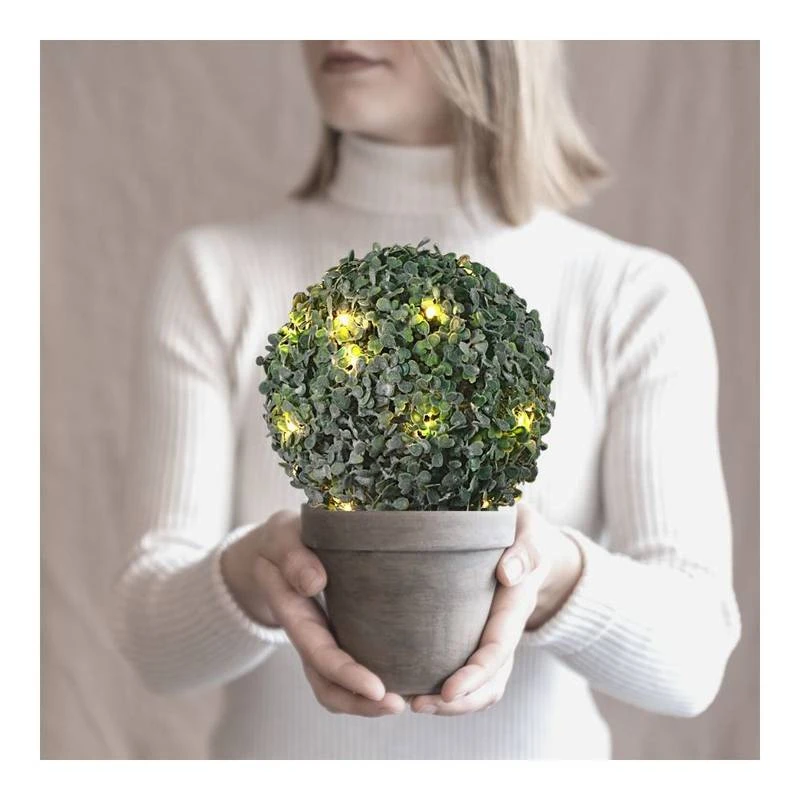 Petite Boule De Buis Effet Givré 4 Petite Boule De Buis Effet Givré – Image 2