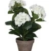 Plante Artificielle Hortensia 1 Plante Artificielle Hortensia -Komar Boutique f367ebfe728240b7bbb7ad4e3e916834.cropped 406 208 2150 2746.processed