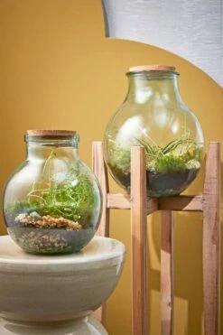 Vase Olly 14 Vase Olly -Komar Boutique f45889932f0f4465a0ba7c9842786628