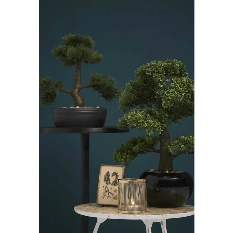 Emerald Mini Bonsaï Ficus Artificiel 4 Emerald Mini Bonsaï Ficus Artificiel – Image 2