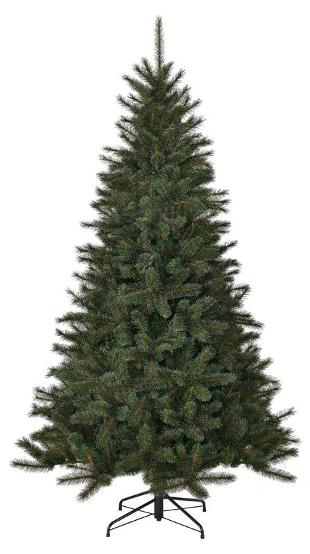 Sapin De Noël Toronto 3 Sapin De Noël Toronto