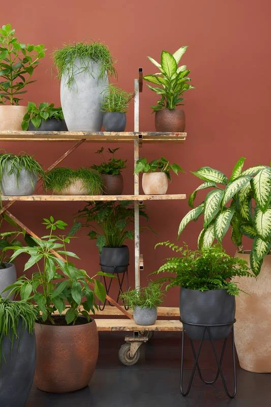 Porte-plante 5 Porte-plante – Image 3